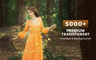 5000 + 透明叠加层与背景素材包 | 创作者必备的高品质设计素材库 28.8GB