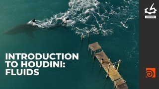 Houdini 流体模拟入门大师课：FLIP 流体与海洋交互特效全流程实战（中文字幕）