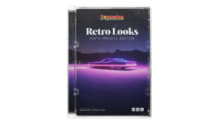 复古胶片风 Lightroom 调色预设 手机电脑通用 Retro Looks Photo Presets