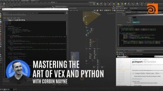 掌握VEX与Python的艺术：成为Houdini技术总监的终极之路（中文字幕）