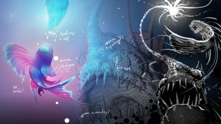 Blender 深海安康鱼全流程创作｜Eevee 实时渲染生物雕刻教程