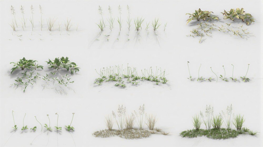 Graswald植被资源库 + Gscatter散射插件下载 |（支持Blender / UE5 / C4D  / Max） - GFXHUB