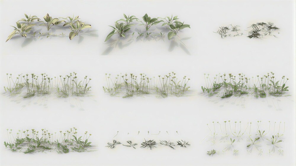 Graswald植被资源库 + Gscatter散射插件下载 |（支持Blender / UE5 / C4D  / Max） - GFXHUB