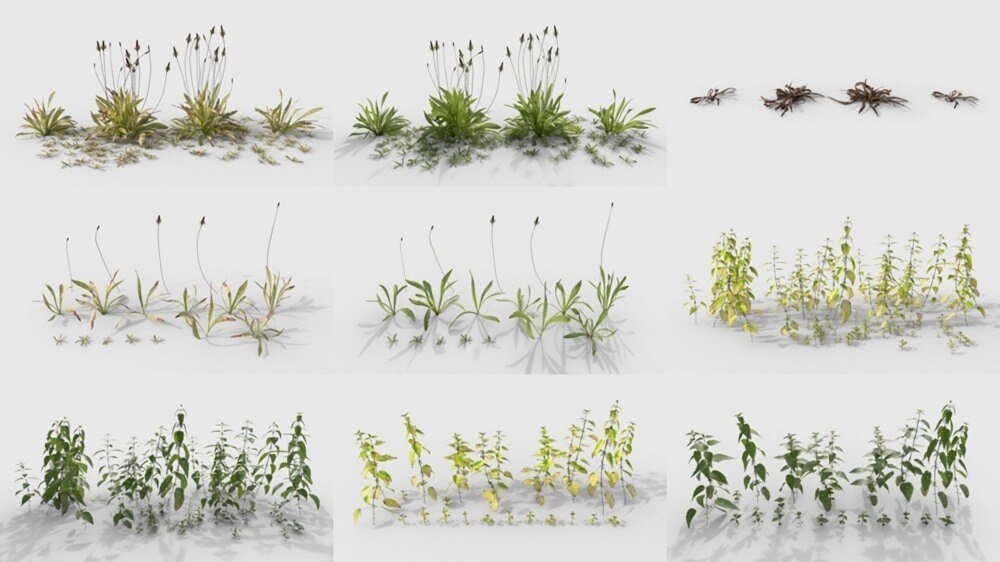 Graswald植被资源库 + Gscatter散射插件下载 |（支持Blender / UE5 / C4D  / Max） - GFXHUB